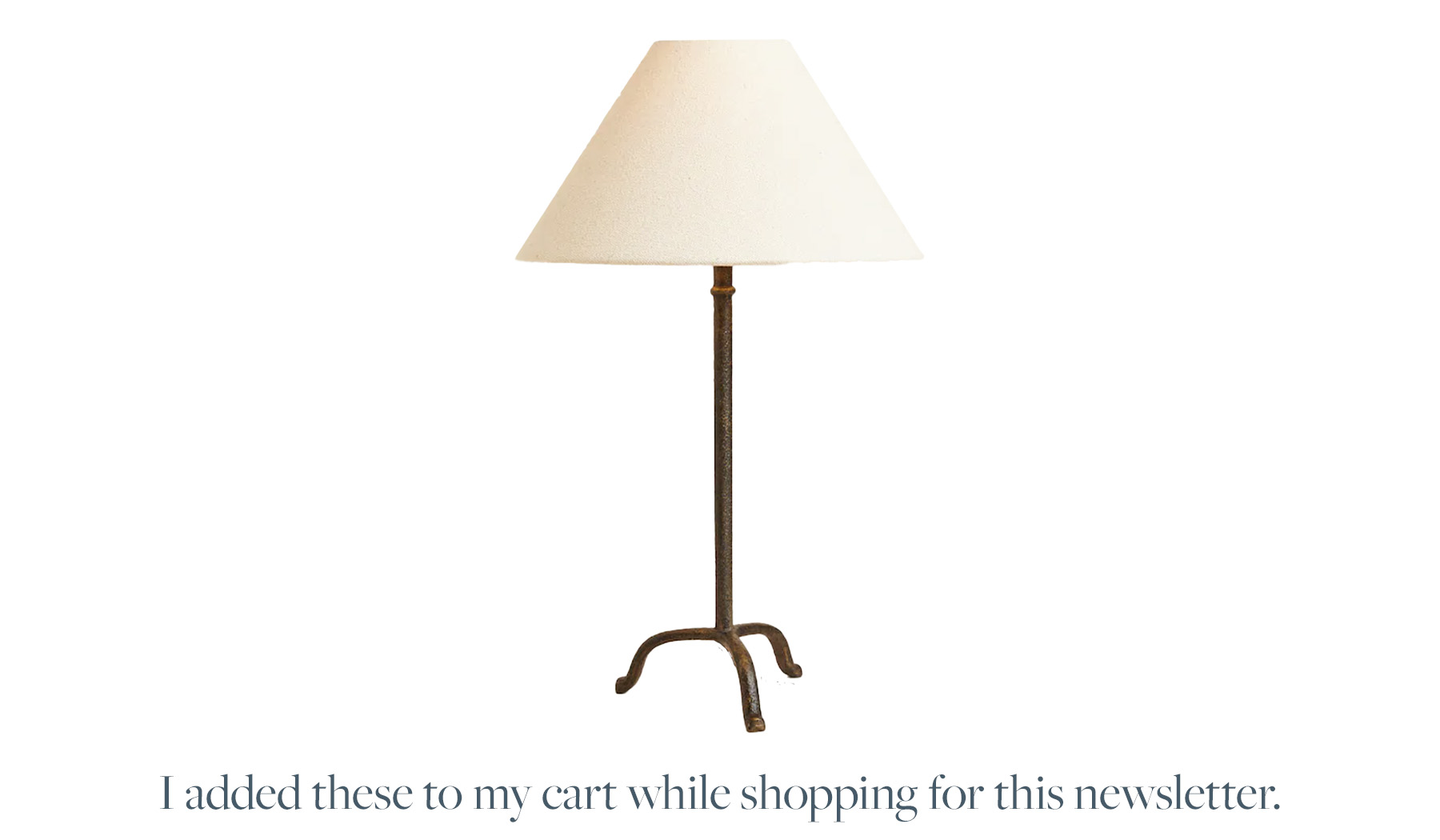 Lamp: I added these to my cart while shopping for this newsletter.